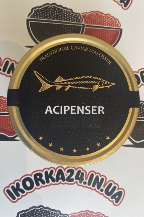 Осетрова ікра Acipenser